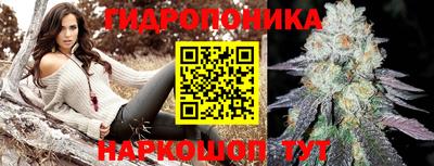 дурь Заводоуковск
